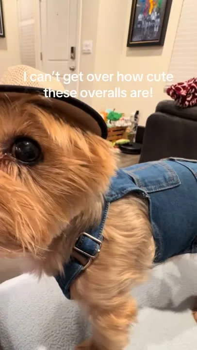 Pet UGC example for Simply Petastic